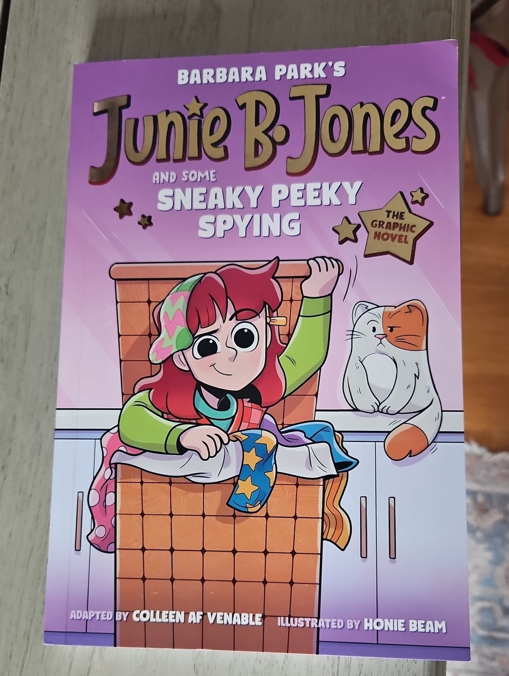 Junie B. Jones and Some Sneaky Peeky Spying Graphic Novel
